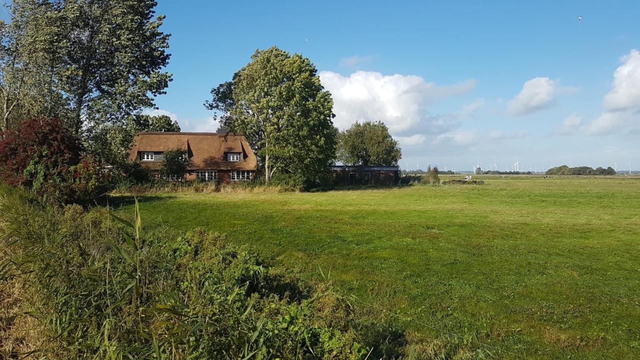 Ferienwohnung Diekblick - Kleiner Deichhof Hattstedtermarsch Buitenkant foto