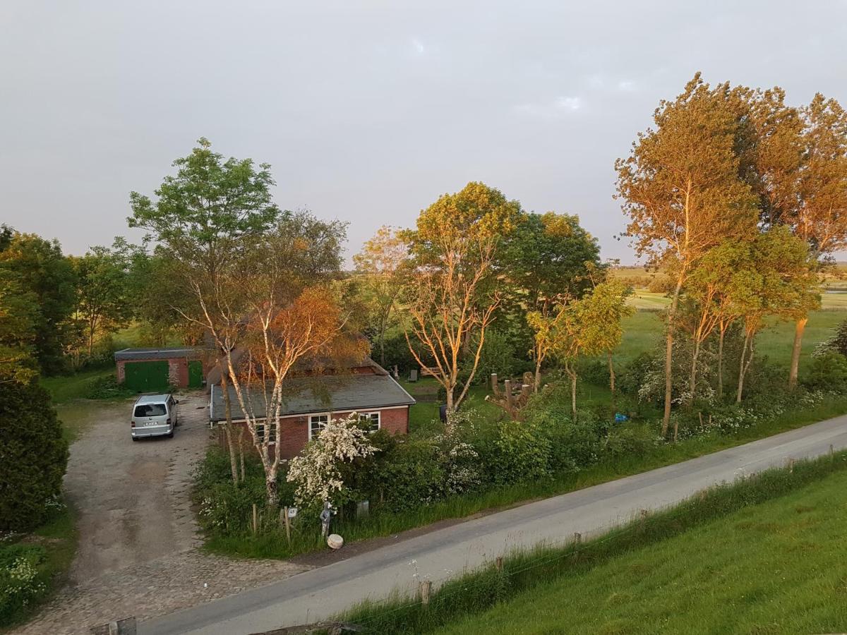 Ferienwohnung Diekblick - Kleiner Deichhof Hattstedtermarsch Buitenkant foto